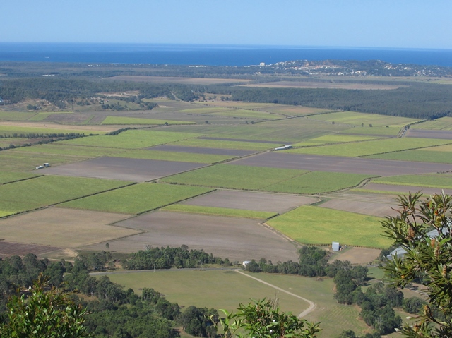 Coolum West